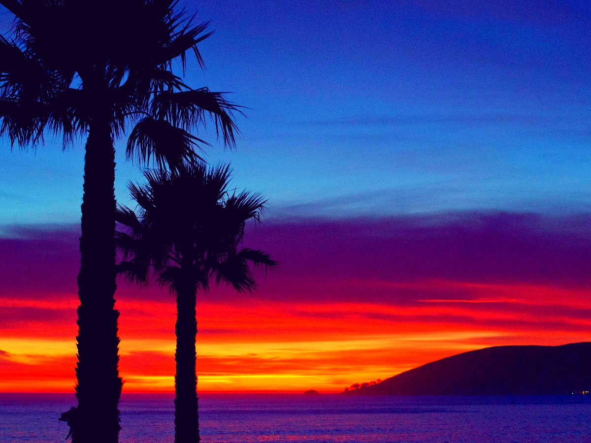 Colourful primary triad image of sunset with silhouette of palm trees - How to choose a good color combination for photography - Image