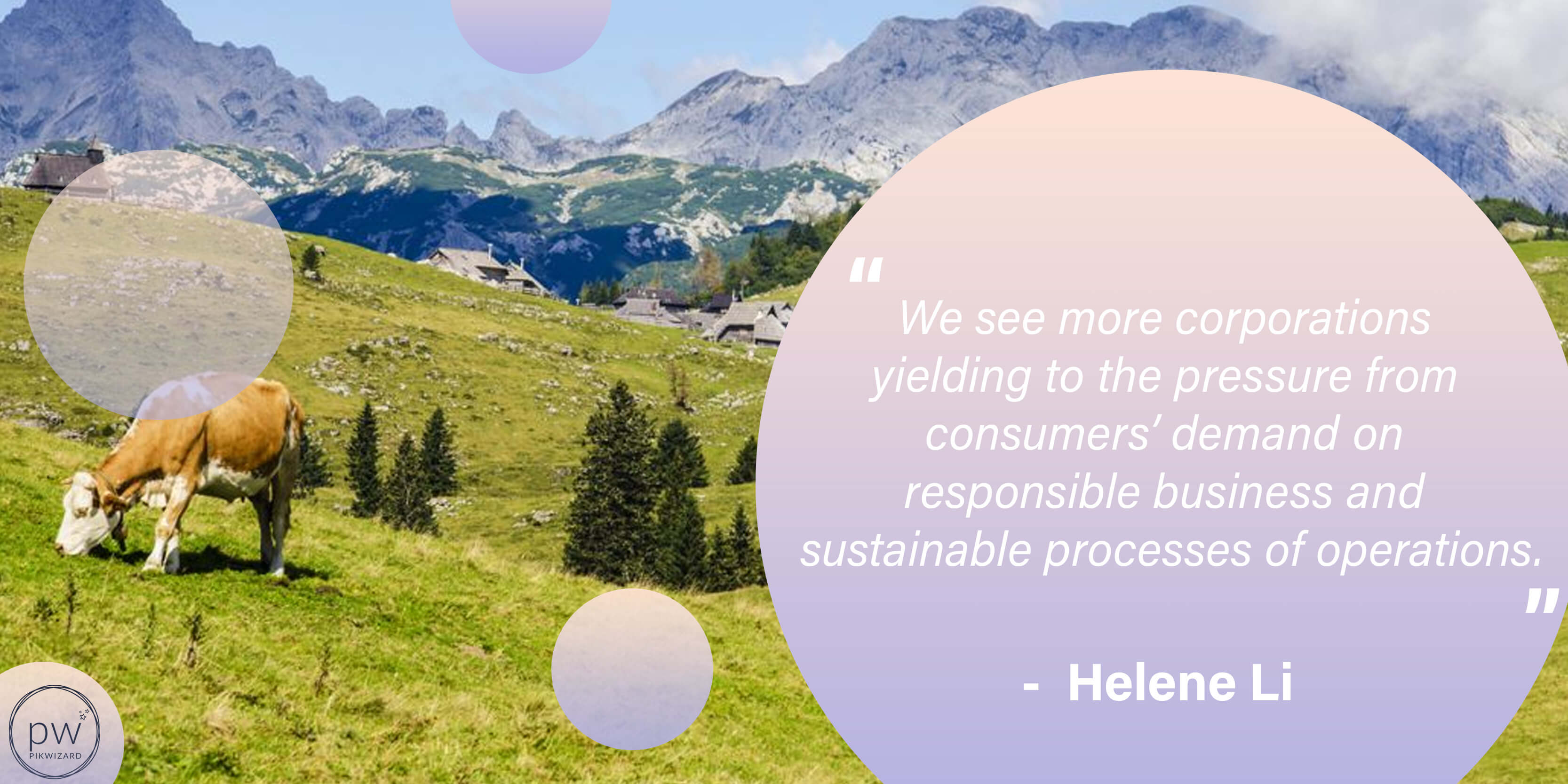 Helene Li quote with an image of green landscape with cows - Popularity of environmental values - Image