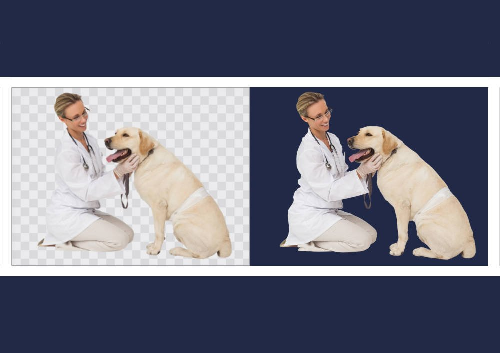 An image of a vet and dog with a transparent background, showing how PNG's work - The benefit of PNG images is that they have the capability for transparency - Image
