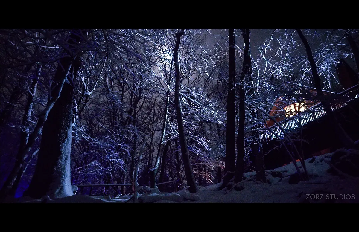 Night shot of a house in a snowy forest, illuminated by moonlight - How minimalism and maximalism can complement each other - Image