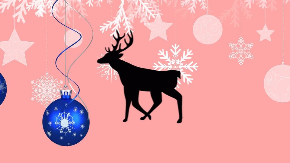 Download Christmas Lights On Cute Reindeer Wallpaper | Wallpapers.com