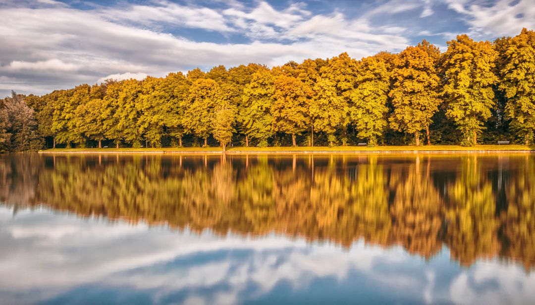 a lake with trees in the background - Free Images, Stock Photos and Pictures on Pikwizard.com
