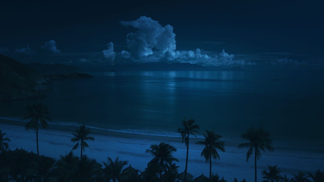 a beach at night - Free Images, Stock Photos and Pictures on Pikwizard.com
