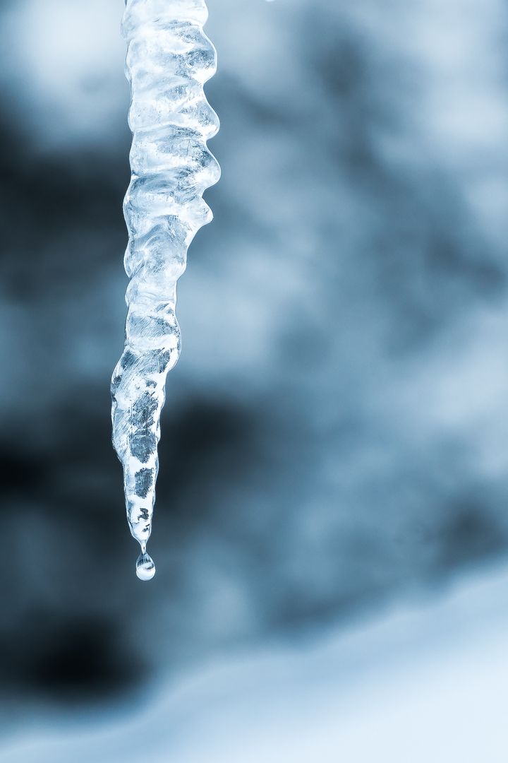 an icicle hanging from a tree - Free Images, Stock Photos and Pictures on Pikwizard.com