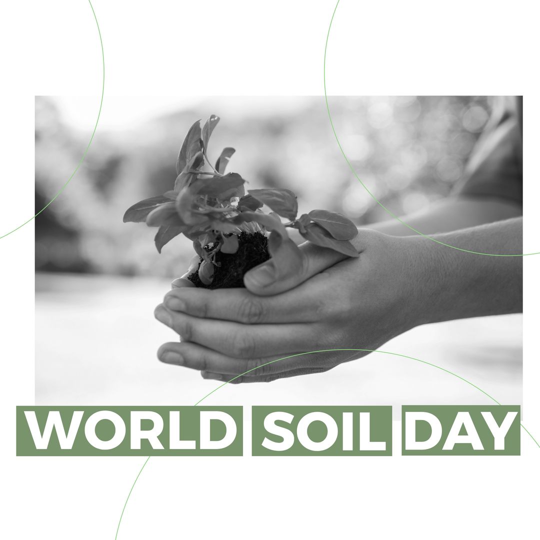 Composite of cropped hands of caucasian woman holding fresh plant and world soil day text - Download Free Stock Templates Pikwizard.com