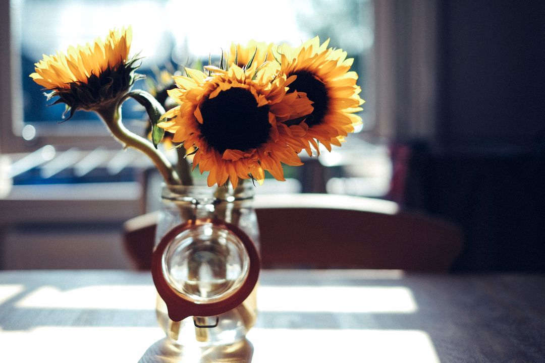 Yellow Sunflowers in Clear Glass Jar during Daytime - Free Images, Stock Photos and Pictures on Pikwizard.com