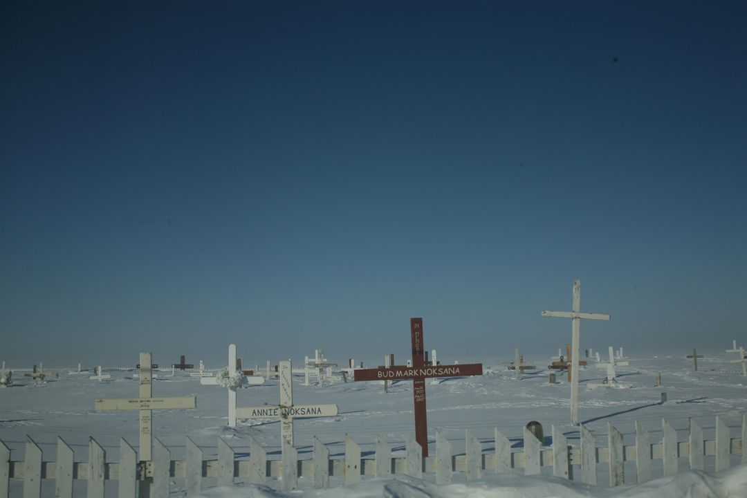 Memorial crosses - Free Images, Stock Photos and Pictures on Pikwizard.com