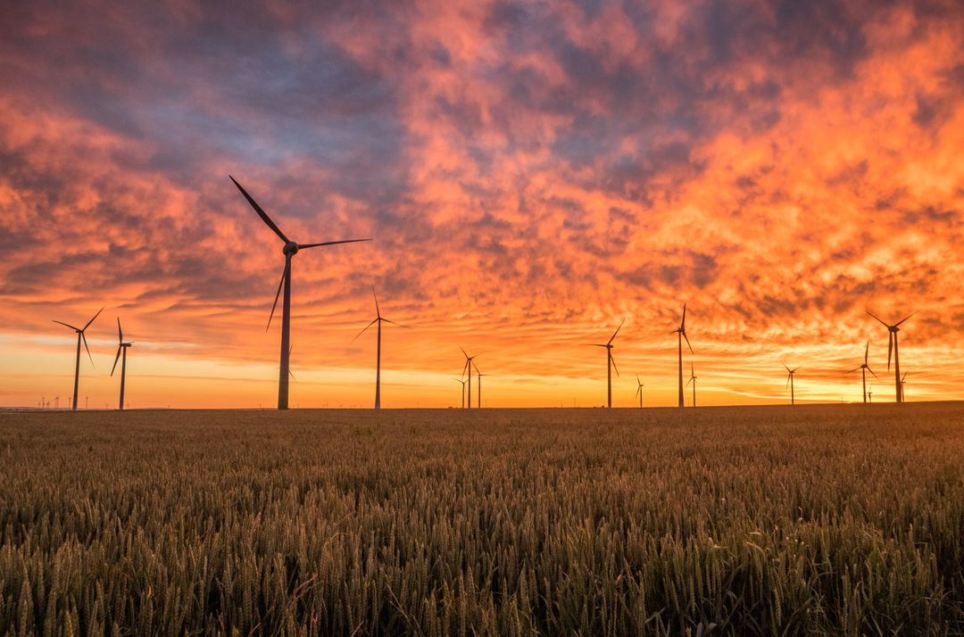Wind turbines with pink and yellow sunset sky