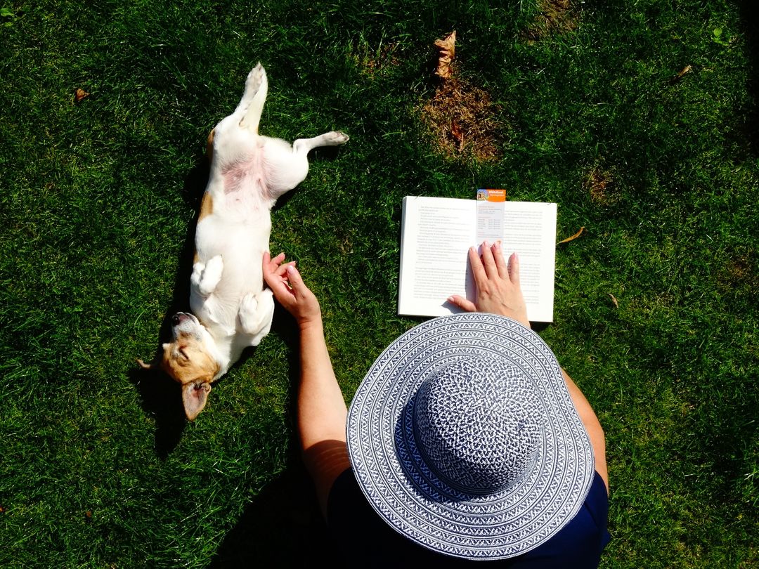 a person reading a book while their dog lays on the grass - Free Images, Stock Photos and Pictures on Pikwizard.com
