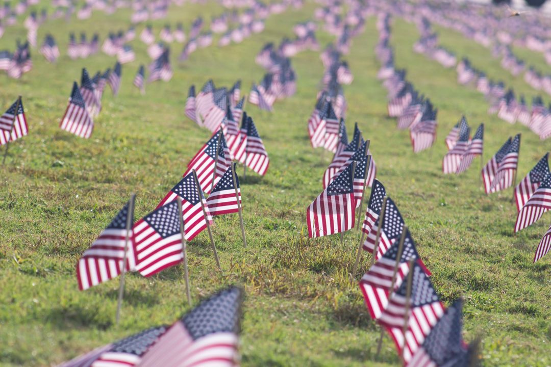 a field with american flags - Free Images, Stock Photos and Pictures on Pikwizard.com