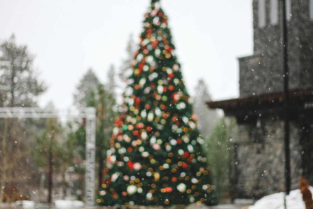 Image of a Christmas Tree in a Public Place