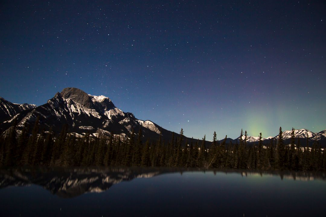 Aurora Boreal, Aurora Polar