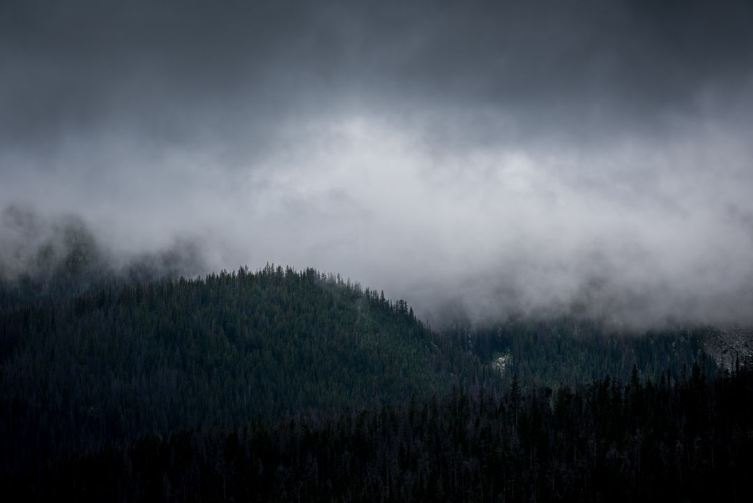 a mountain covered in fog - Free Images, Stock Photos and Pictures on Pikwizard.com