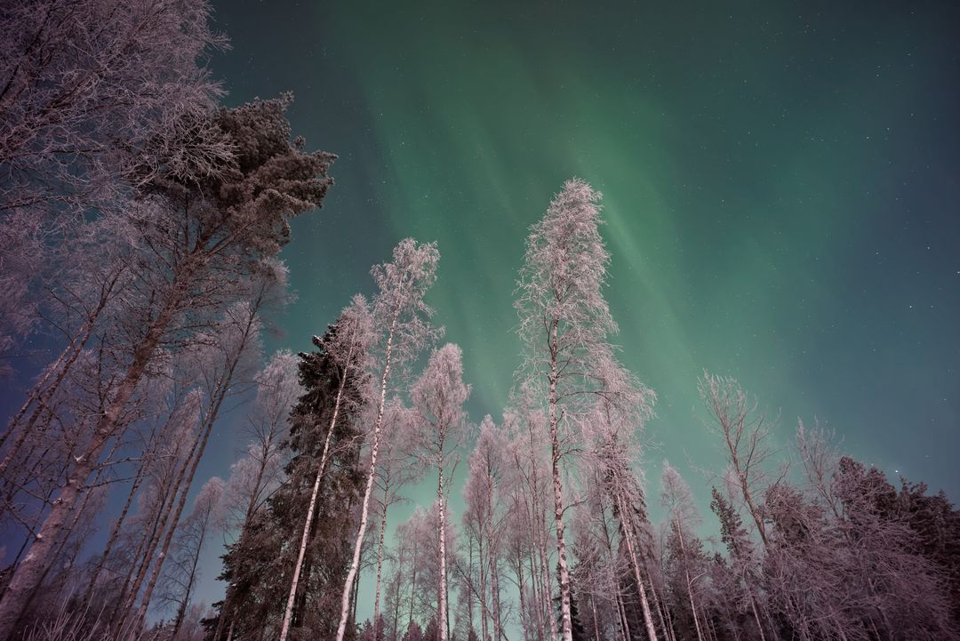 the aurora borealis in finland - Free Images, Stock Photos and Pictures on Pikwizard.com