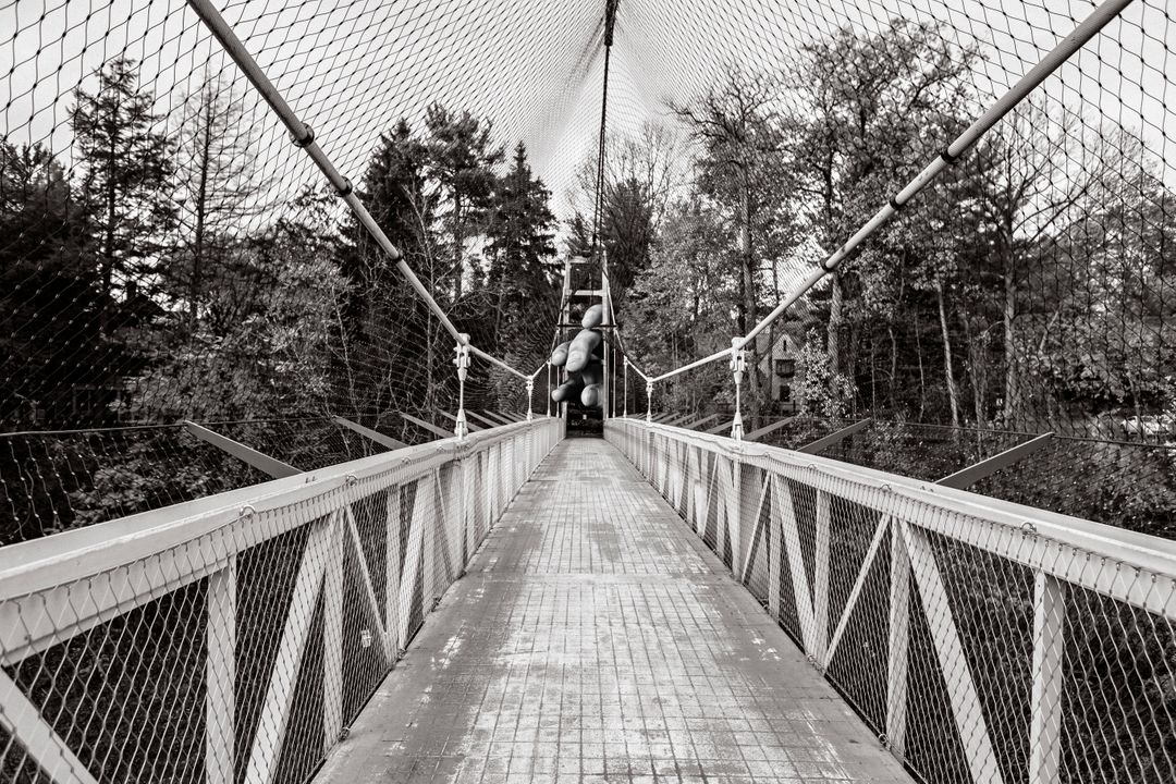 a person walking across a suspension bridge - Free Images, Stock Photos and Pictures on Pikwizard.com