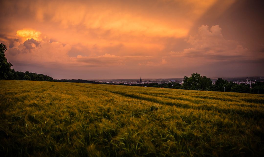 Image of a field at dawn - How to choose a main theme for your travel blog - Image