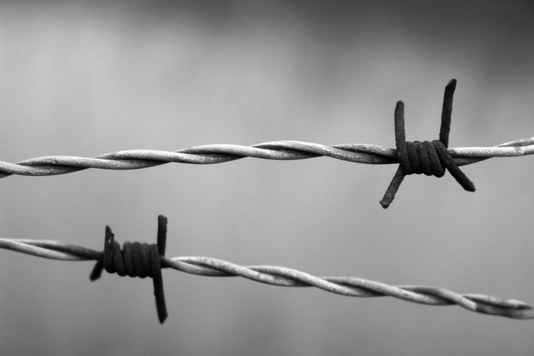 barbed wire - Free Images, Stock Photos and Pictures on Pikwizard.com