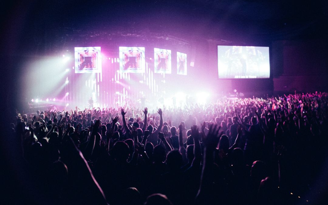 Image of a Crowd at a Concert