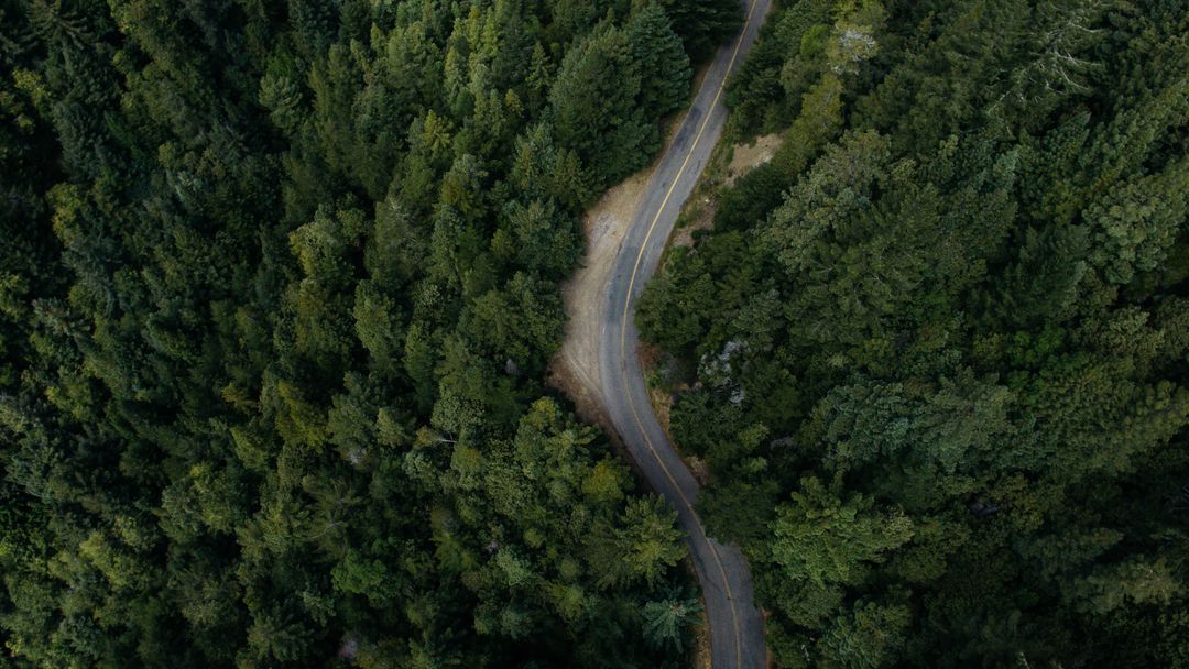 Top view of a forest road - How to set and stick to your social media marketing goals - Image