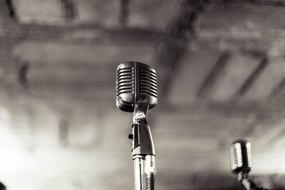 Grey Image of a Microphone