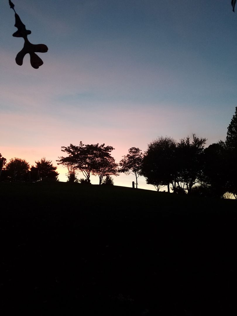 a sunset in the park - Free Images, Stock Photos and Pictures on Pikwizard.com