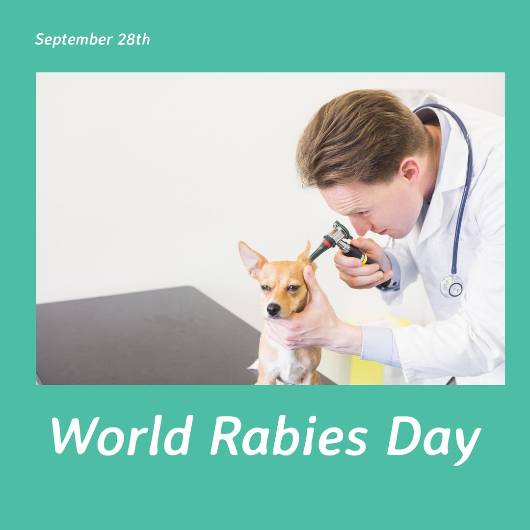 Composition of world rabies day text over caucasian male vet with dog - Download Free Stock Templates Pikwizard.com