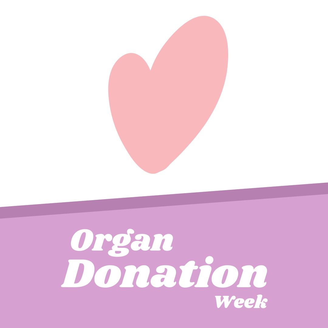 Illustration set related to organ donation... - Stock Illustration  [88911149] - PIXTA