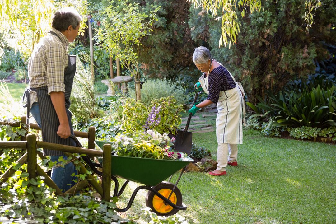 Senior couple gardening in the garden - Free Images, Stock Photos and Pictures on Pikwizard.com