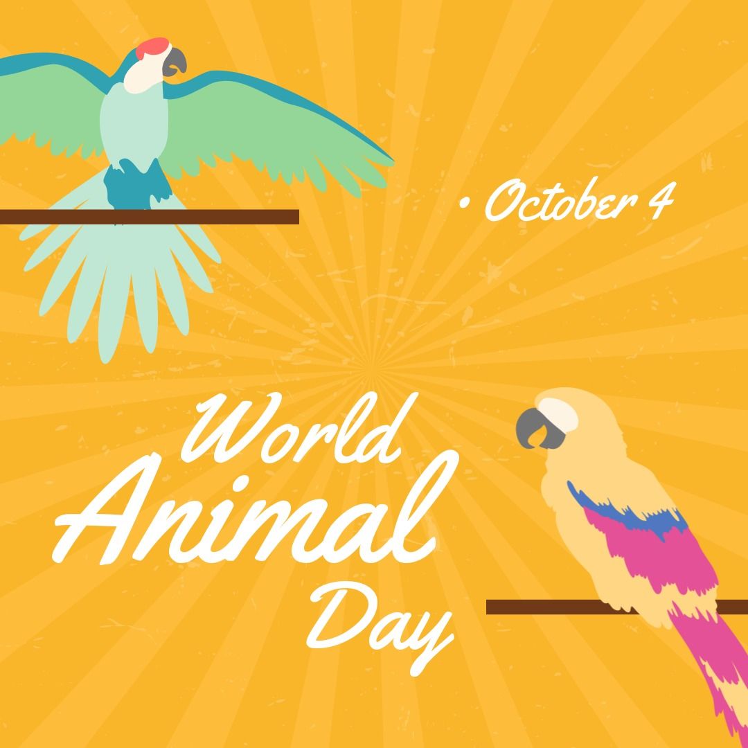 Vector image of birds with world animal day text on yellow background, copy space - Download Free Stock Templates Pikwizard.com