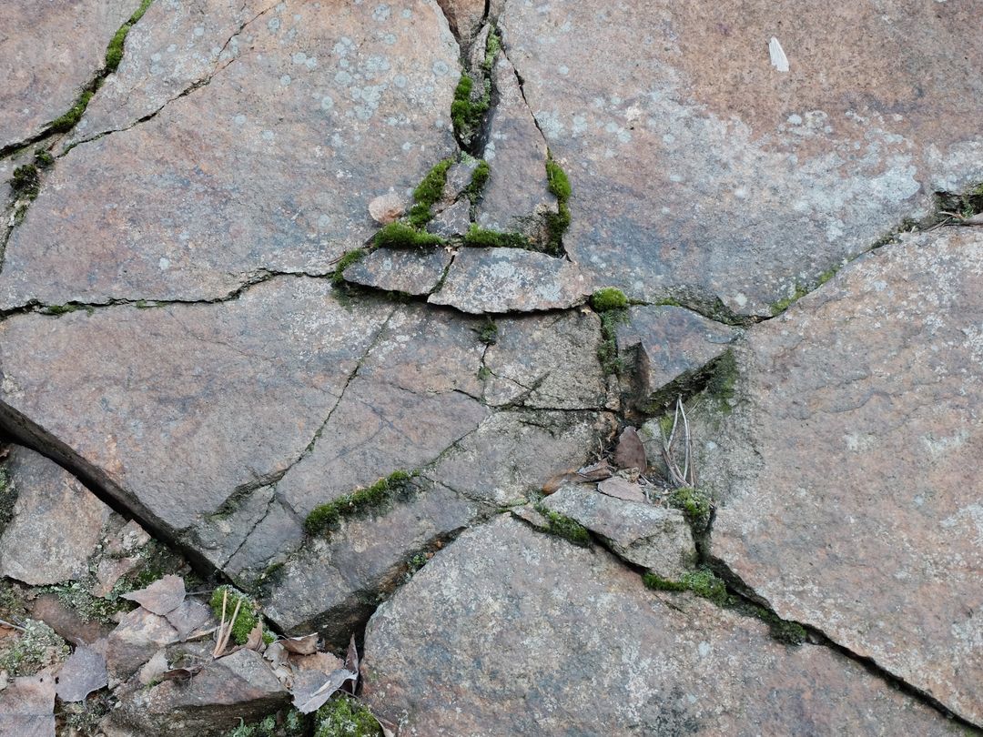 a rock with cracks and moss - Free Images, Stock Photos and Pictures on Pikwizard.com