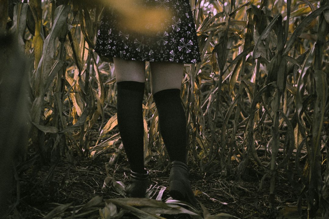 a girl in a corn field - Free Images, Stock Photos and Pictures on Pikwizard.com