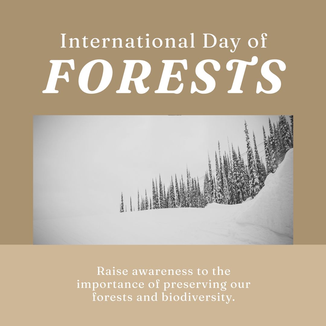 Composition of international day of forests text over forest on beige background - Download Free Stock Templates Pikwizard.com