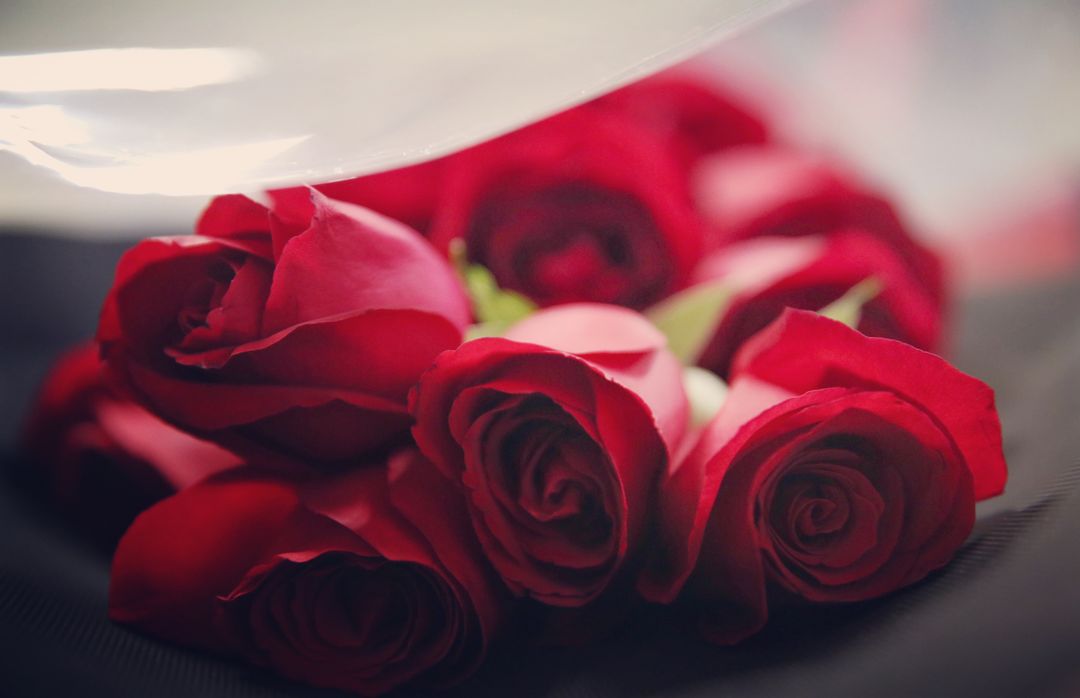 a bunch of red roses - Free Images, Stock Photos and Pictures on Pikwizard.com