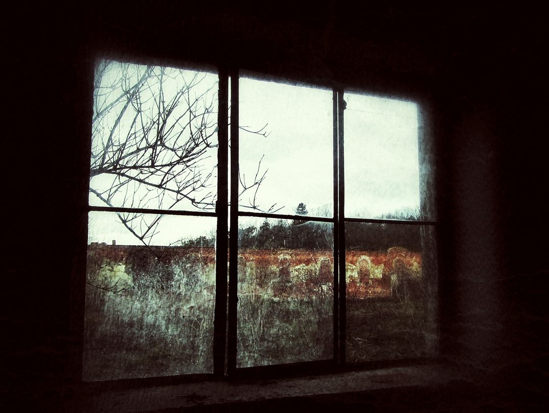 a window in an abandoned building - Free Images, Stock Photos and Pictures on Pikwizard.com