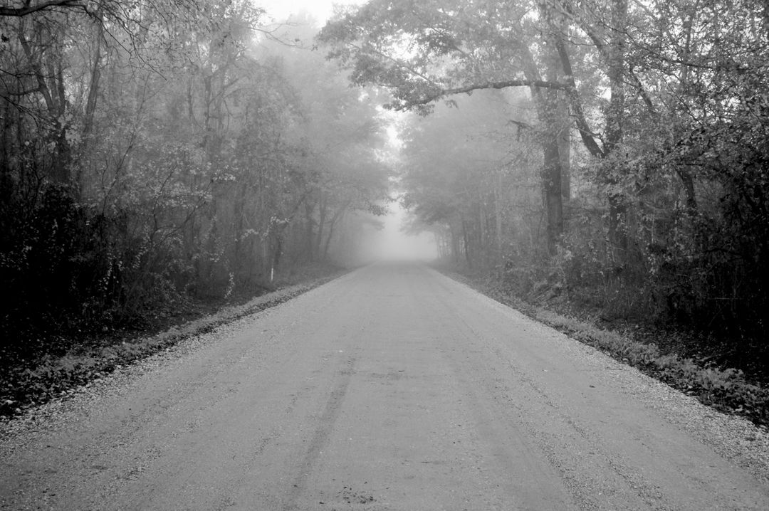 a road in the fog - Free Images, Stock Photos and Pictures on Pikwizard.com