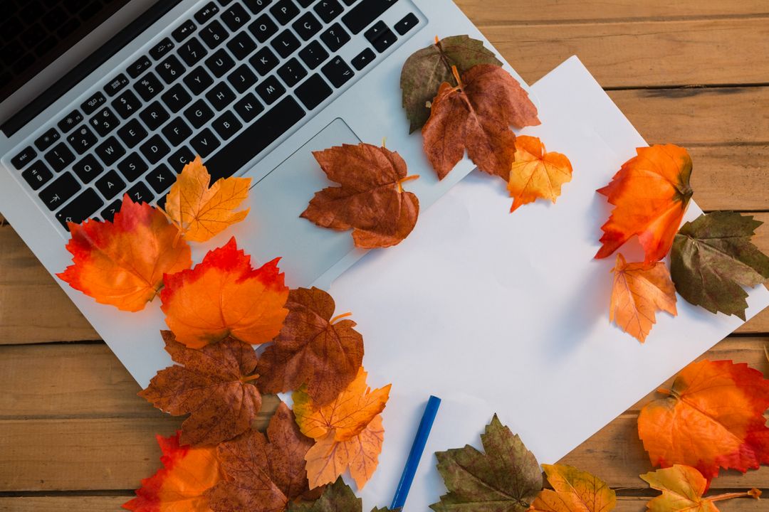 Image of autumn leaves on a laptop