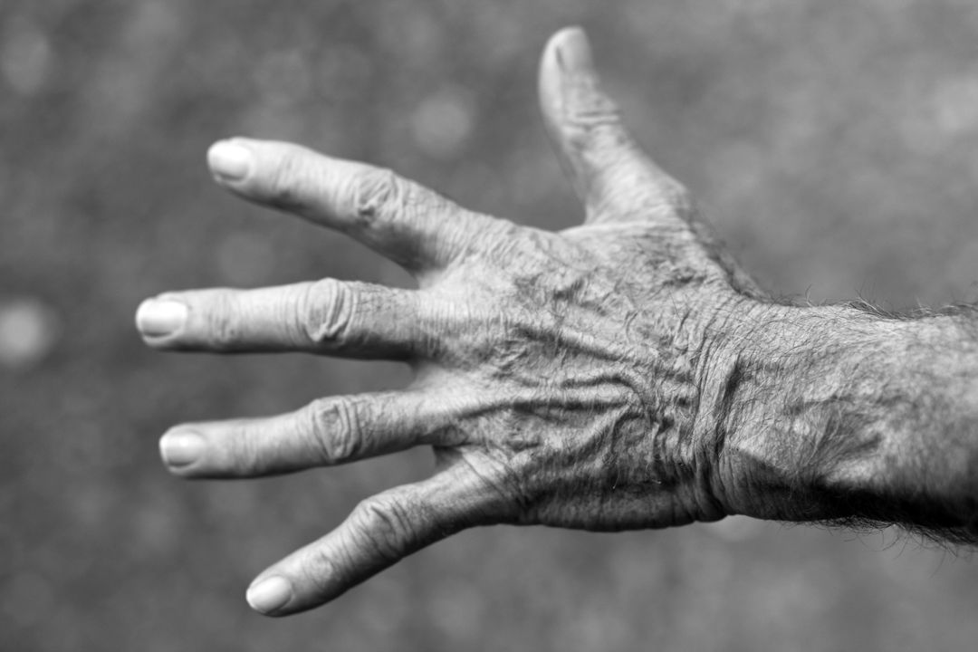 Grayscale Photo of Left Human Hand - Free Images, Stock Photos and Pictures on Pikwizard.com