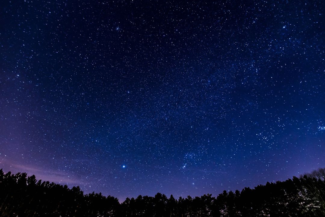 Image of Stars at Night with a Forest in the Background