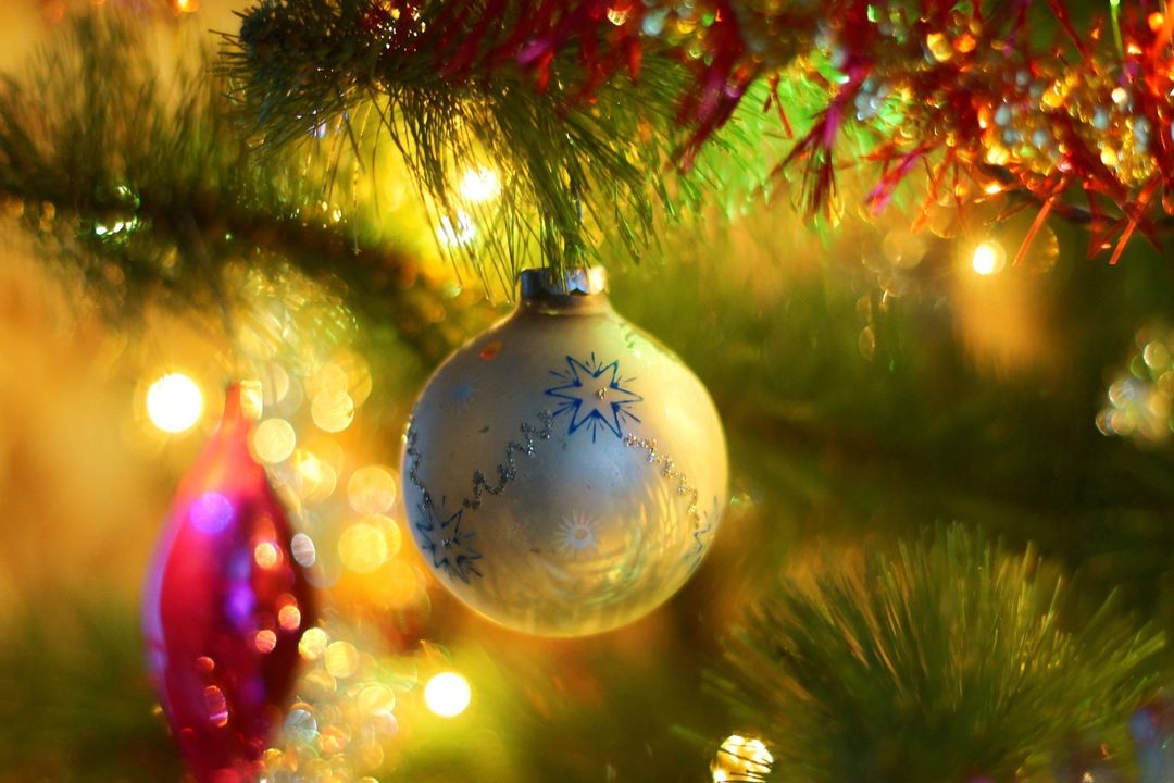 Close up Image of Decorations on a Christmas Tree