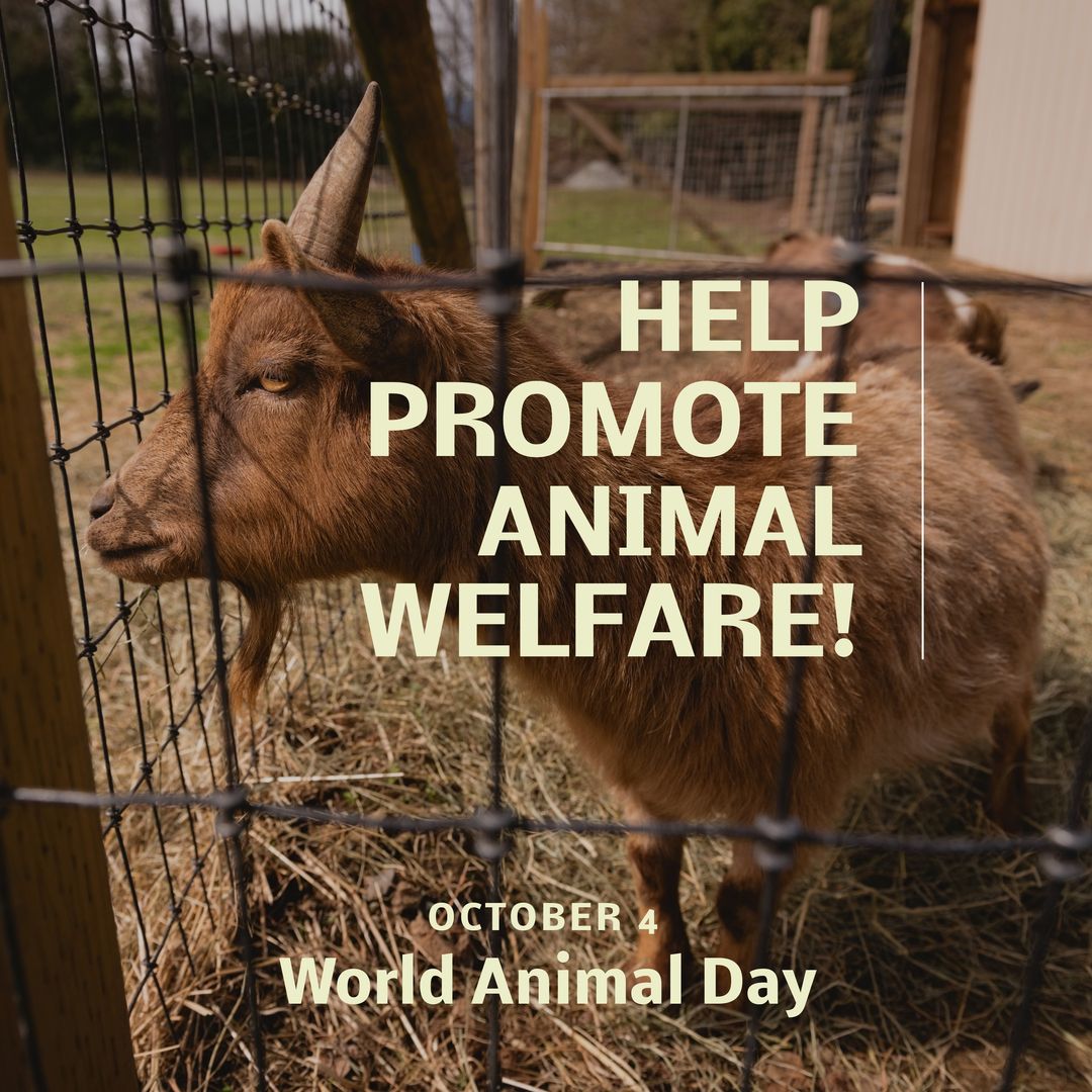 Composition of help promote animal welfare text over goat - Download Free Stock Templates Pikwizard.com