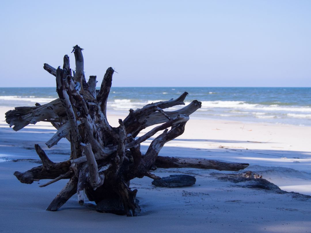 a beach - Free Images, Stock Photos and Pictures on Pikwizard.com