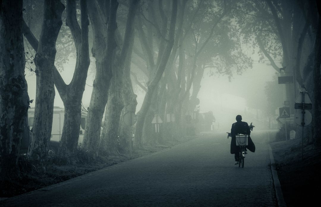 a person riding a bike down a foggy road - Free Images, Stock Photos and Pictures on Pikwizard.com