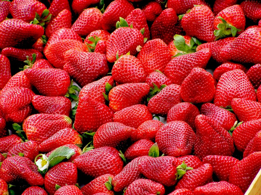 a bunch of strawberries - Free Images, Stock Photos and Pictures on Pikwizard.com