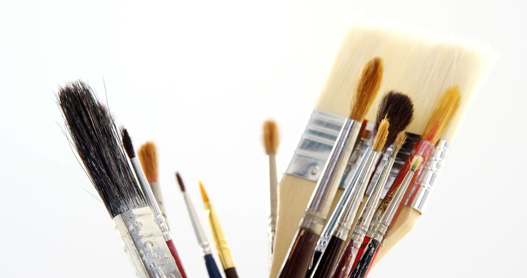 Various sizes of paintbrushes are clustered together against a white  background, with copy space from Pikwizard