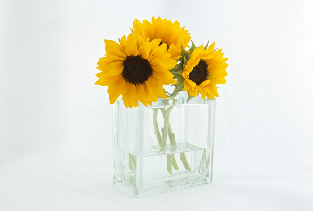 a vase with sunflowers - Free Images, Stock Photos and Pictures on Pikwizard.com