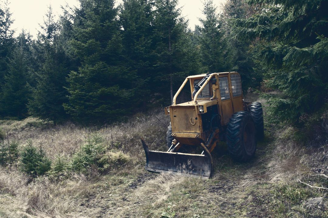 a tractor in the woods - Free Images, Stock Photos and Pictures on Pikwizard.com