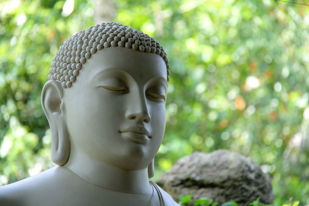 Buddha mahamevnawa sri lanka - Free Images, Stock Photos and Pictures on Pikwizard.com