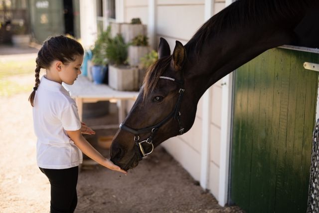 Girl feeding a horse in the stable - Download Free Stock Photos Pikwizard.com