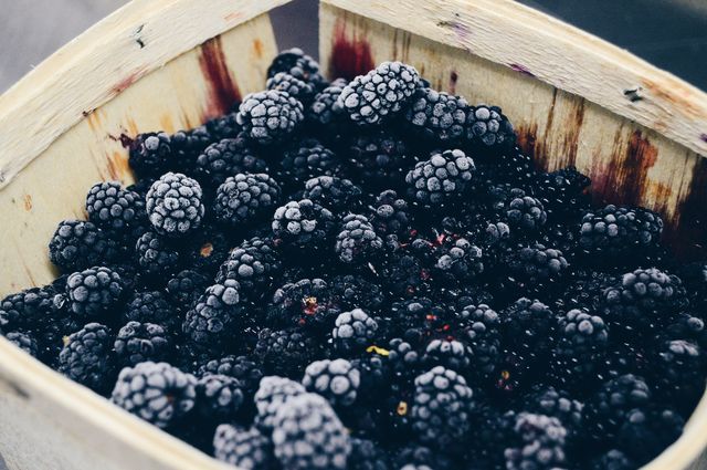 a basket full of blackberries - Download Free Stock Photos Pikwizard.com