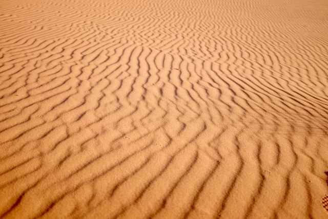 Sand desert sun ra - Download Free Stock Photos Pikwizard.com